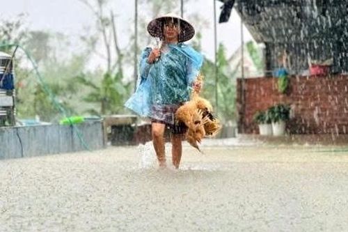 Thời tiết ngày 7/11: Trung Bộ mưa lớn