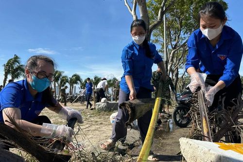 Cây đổ, rác ngập, bạn trẻ Đà Nẵng chung tay dọn dẹp sau bão