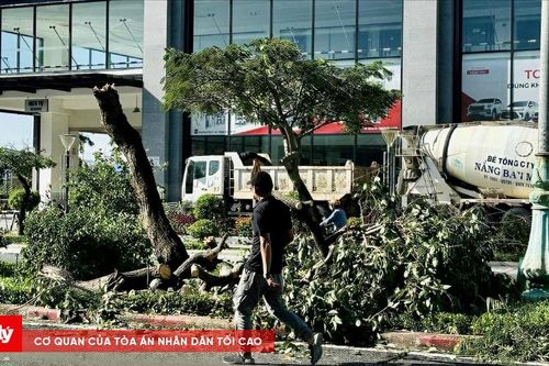 Đắk Lắk: 3 người tử vong, 25 nhà bị sập, hơn 10.000 nhà bị tốc mái và ngập nước
