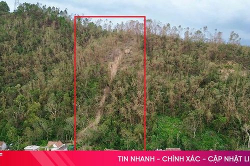Mối nguy sạt lở tại Hà Tĩnh khi đất đã 'ngậm' no nước