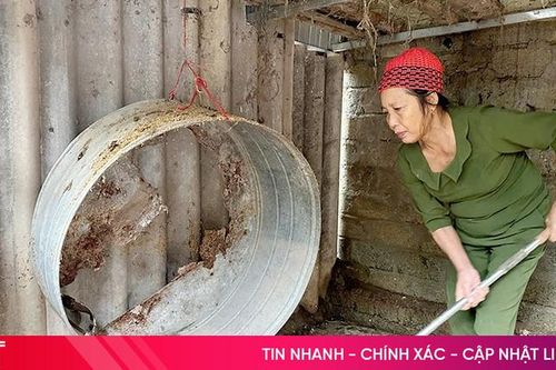 Khẩn trương xử lý môi trường chăn nuôi sau mưa lũ