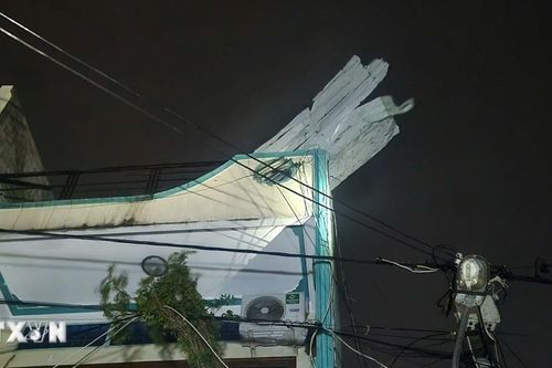 Những thiệt hại ban đầu do bão số 13 gây ra ở Gia Lai, Đắk Lắk, Quảng Ngãi