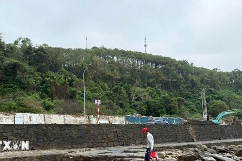 Hải Phòng: Khắc phục tình trạng sạt lở bờ kè biển ở phường Đồ Sơn