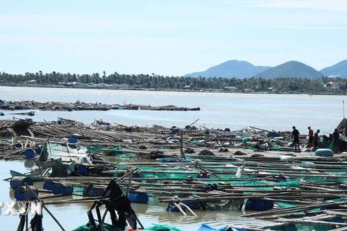 Vùng nuôi trồng thủy sản tỉnh Đắk Lắk bị thiệt hại nặng nề sau bão số 13