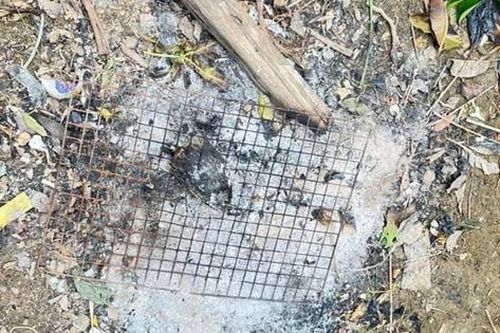 Ăn thử món lạ, người đàn ông trả giá bằng mạng sống