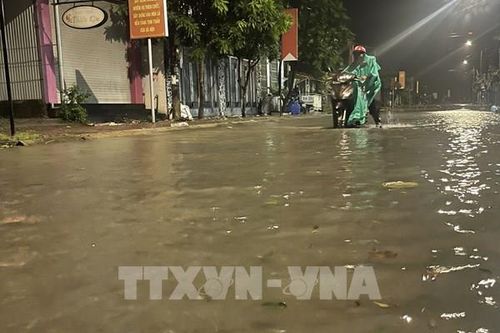 Bão số 13: Quảng Ngãi triều cường dâng cao uy hiếp các khu dân cư