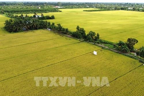 Đột phá thể chế để vượt qua điểm nghẽn và nâng cao năng lực cạnh tranh quốc gia
