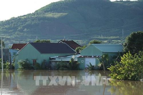 Hàng nghìn hộ dân ở Đắk Lắk vẫn mất điện sau bão số 13