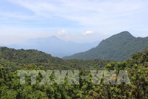 Nghiên cứu mở tuyến đi bộ kết nối giao thông khu vực Vườn quốc gia Bạch Mã