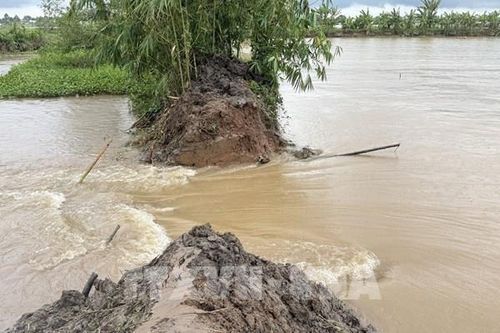 Khắc phục xong đoạn đê bị vỡ ở cồn Sơn, Cần Thơ