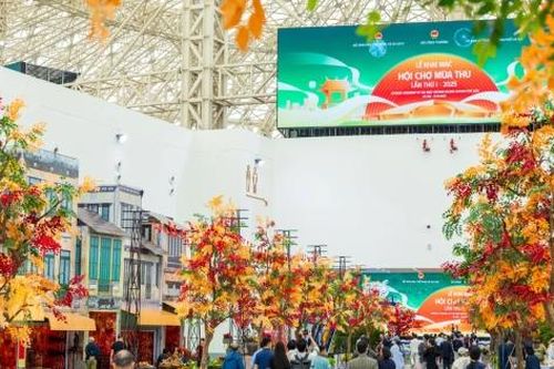 Từ mùa thu vàng Gyeongju tới biển bạc Phú Quốc - Bài cuối: Busan - Đông Anh, giấc mơ lớn