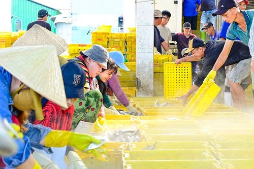 Bên trong cảng cá Tắc Cậu