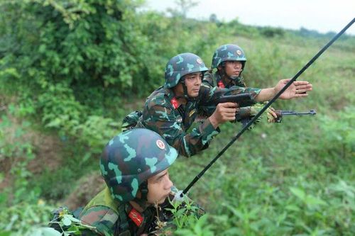 Tiểu đoàn 6 hoàn thành diễn tập chiến thuật tại Trường bắn Chi Lăng