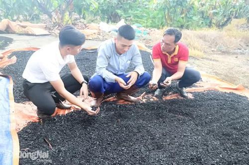 Nông dân gặp khó vì giá vật tư nông nghiệp tăng cao
