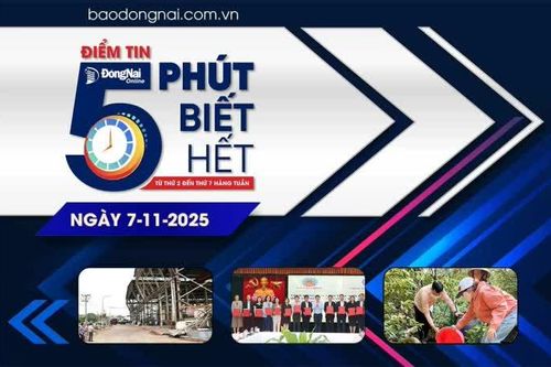 Điểm tin '5 phút biết hết' sáng 7-11: Sớm ban hành quy định cho thuê đất ngắn hạn, tránh lãng phí quỹ đất công