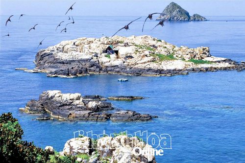 Giải pháp bảo vệ đàn chim yến