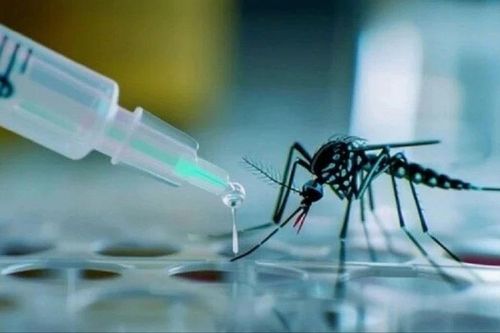Việt Nam thử nghiệm lâm sàng giai đoạn 3 vắc-xin sốt xuất huyết