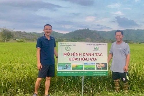 Giữ hồn lúa mẹ trên vùng cao Phan Sơn