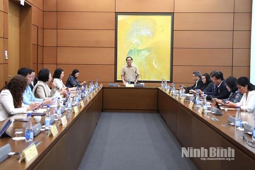 Kỳ họp thứ 10, Quốc hội khóa XV: Đại biểu Quốc hội tỉnh góp ý hoàn thiện hệ thống pháp luật về quy hoạch