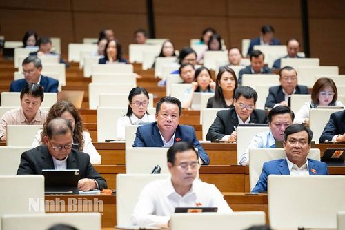 Kỳ họp thứ 10, Quốc hội khóa XV: Thảo luận ở hội trường về một số Dự án Luật