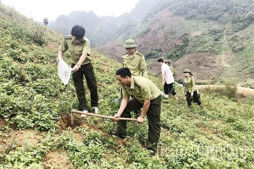 Từ ý thức người dân đến hiệu quả quản lý rừng bền vững