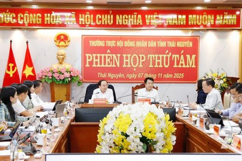Cho ý kiến về Kế hoạch tổ chức kỳ họp tổng kết nhiệm kỳ 2021-2026, HĐND tỉnh Thái Nguyên