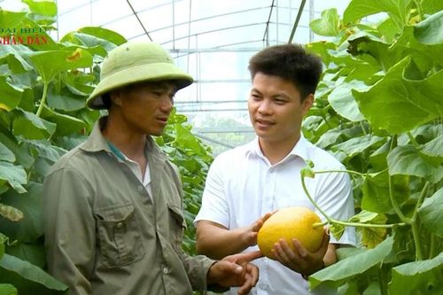 Ưu tiên bố trí nguồn lực thực hiện việc chuyển giao công nghệ