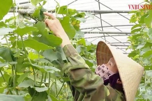 Nông thôn mới đẹp hình thức, giàu nội dung ở Nghệ An