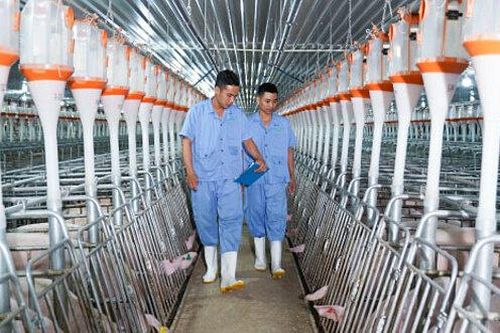 BaF Việt Nam muốn rút ngắn thời gian giải ngân trả nợ vay từ phát hành trái phiếu