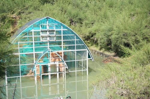 Tháp Chăm được công nhận kỷ lục thế giới vẫn chìm trong nước sau trận lũ lịch sử