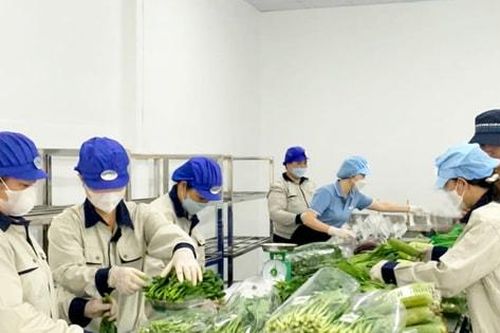 Hà Nội đột phá sản phẩm OCOP từ vùng chuyên canh