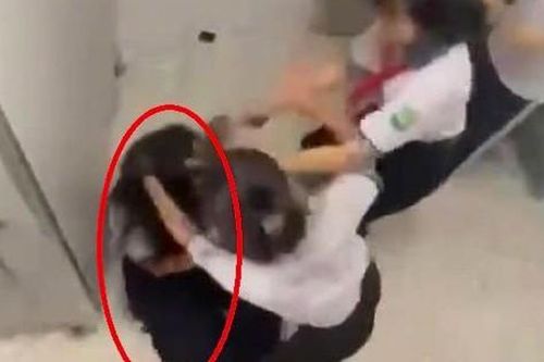 Tiếng chuông báo động đau lòng từ các vụ bạo lực học đường nghiêm trọng