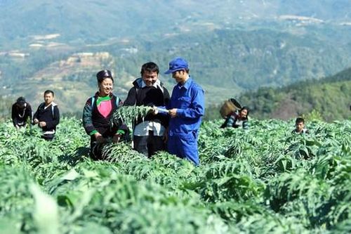 Hoàn thiện cơ chế, chính sách – nền tảng phát triển vùng nguyên liệu, hướng đi tất yếu cho ngành dược Việt Nam bền vững