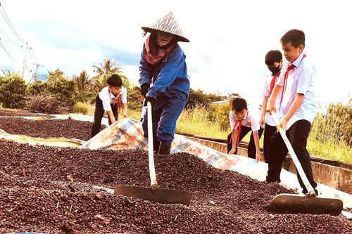 Đất đỏ bazan kể chuyện ước mơ học trò