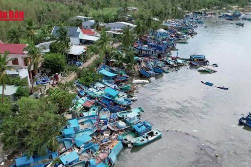 Bão Kalmaegi gây thiệt hại nặng cho tàu thuyền ven biển miền Trung