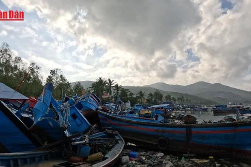 Người dân Sông Cầu lên kế hoạch vượt qua thiệt hại do bão để ra khơi