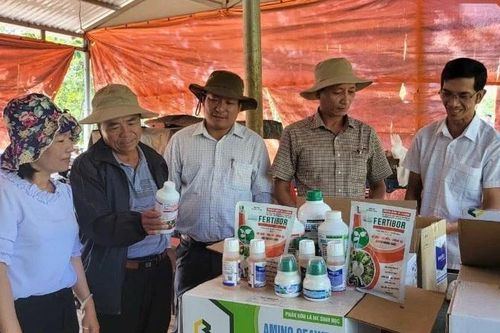 Gỡ khó cho thuốc bảo vệ thực vật sinh học