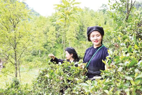 Chuẩn nghèo đa chiều quốc gia giai đoạn 2026-2030 sẽ ban hành trong năm nay