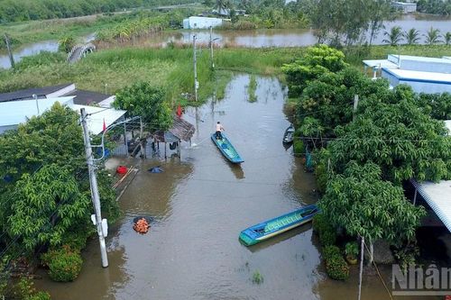 Khu tái định cư ở Cà Mau bốn năm bị bủa vây giữa biển nước