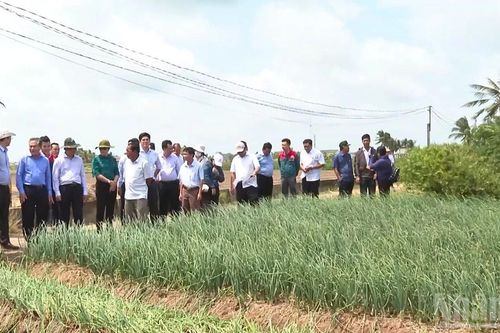 Sản xuất hữu cơ, hướng đi mới cho người nông dân Cần Thơ