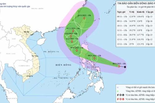 Ngày 10-11, bão Fung-wong vào Biển Đông
