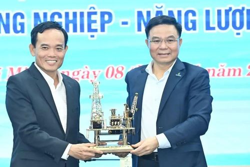 TPHCM xem Tập đoàn Công nghiệp - Năng lượng quốc gia Việt Nam là đối tác chiến lược