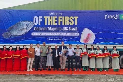 Lô hàng cá rô phi Việt Nam đầu tiên xuất khẩu sang Brazil