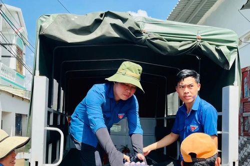 Ấm lòng thanh niên Gia Lai giúp người dân khắc phục hậu quả do bão