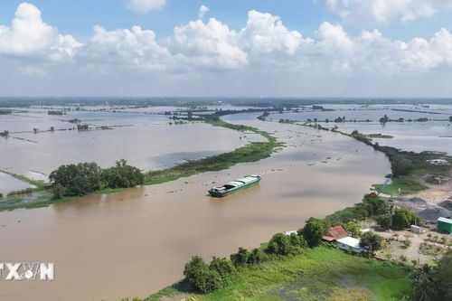 Lũ trên sông Vàm Cỏ Đông, Vàm Cỏ Tây vượt báo động 3, nguy cơ ngập sâu, vỡ đê