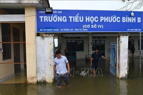 Nước sông Vàm Cỏ Đông dâng cao, học sinh nhiều điểm trường biên giới phải nghỉ học