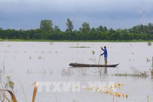 Cần Thơ hỗ trợ phát triển các sản phẩm chủ lực gắn với chuyển đổi số