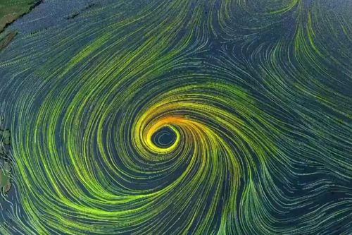 Siêu bão Phượng Hoàng có diễn biến khó lường