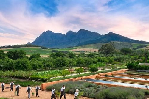 Mô hình farmstay tạo nên cú hích tỷ đô