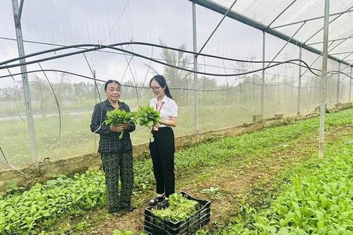Bền bỉ đưa chính sách tín dụng ưu đãi đến khu vực nông thôn